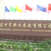 尊龙凯时人生就是博z6com品牌网