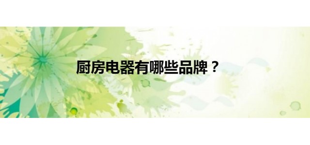 厨房电器有哪些品牌？
